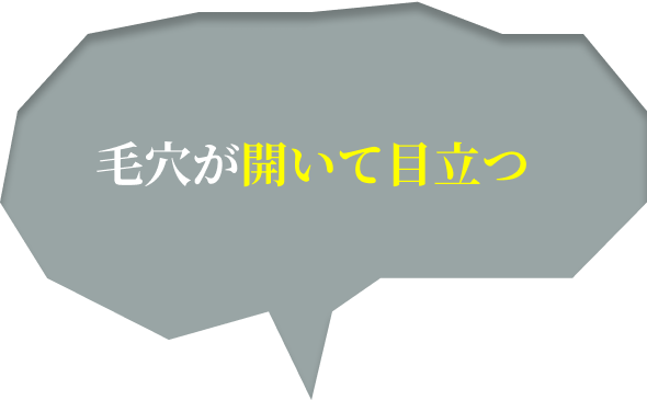 毛穴が開いて目立つ